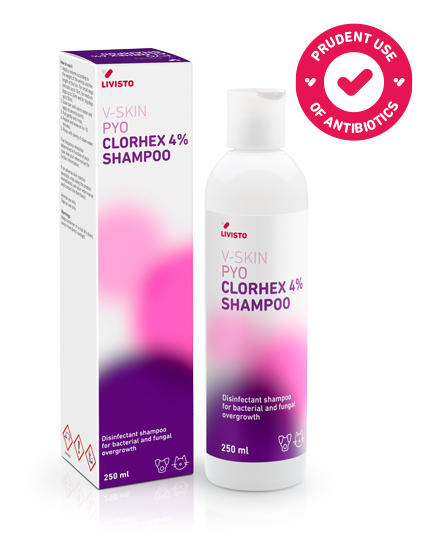 Is Bio Hex Shampoo a Treatment for Staph in Dogs? Discover the Truth